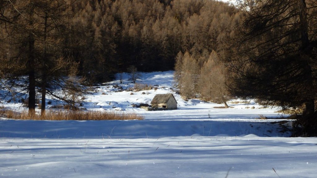 P1160718.JPG
