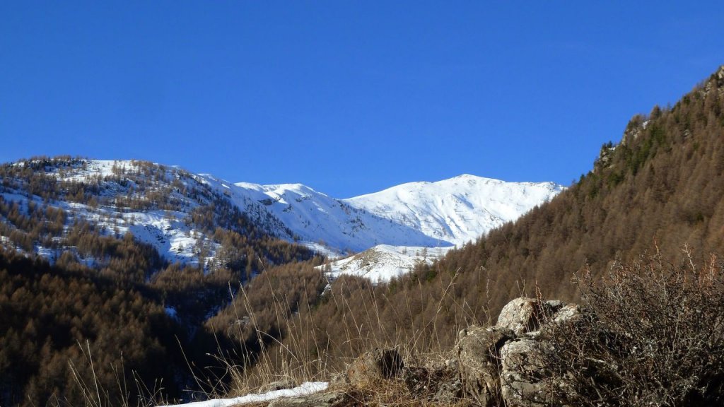 P1160725.JPG