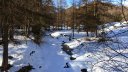 P1160721.JPG