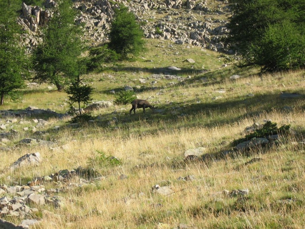 Photo_053.jpg