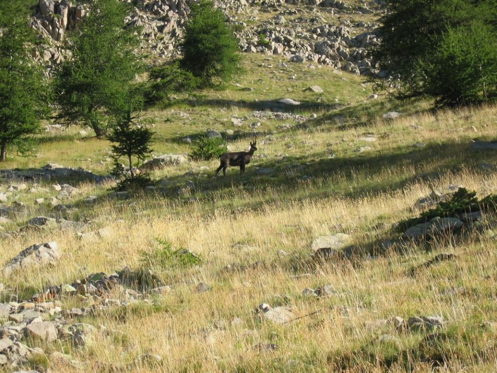 Photo_054.jpg