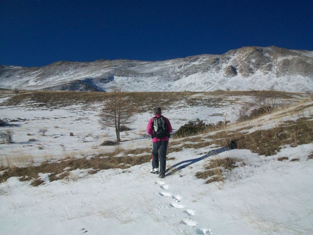 lachen_dec_2016_061.JPG