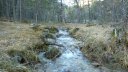 lachen_dec_2016_015.JPG