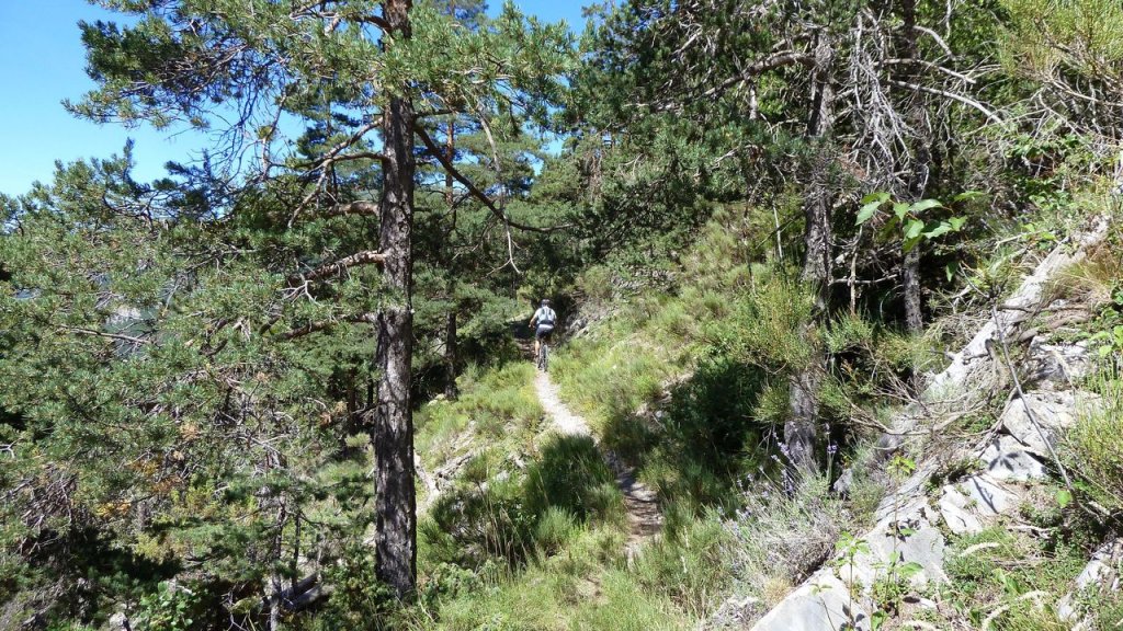 cabane_neuve_aout_2016_069.JPG