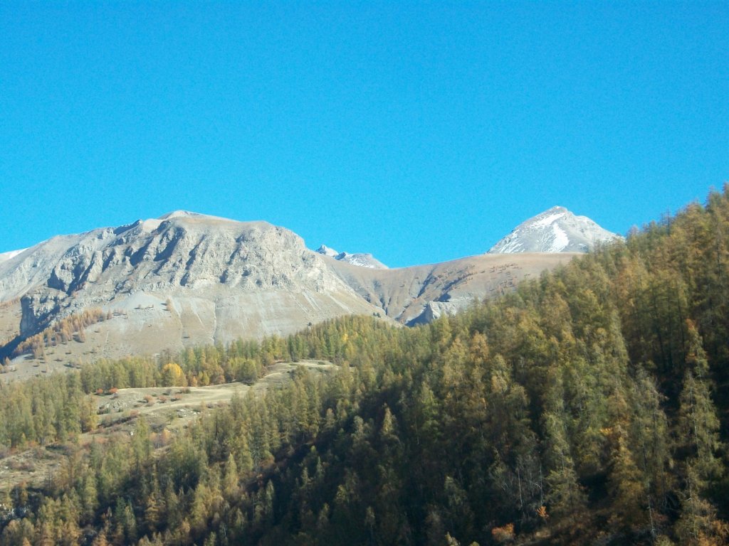 100_7121.JPG