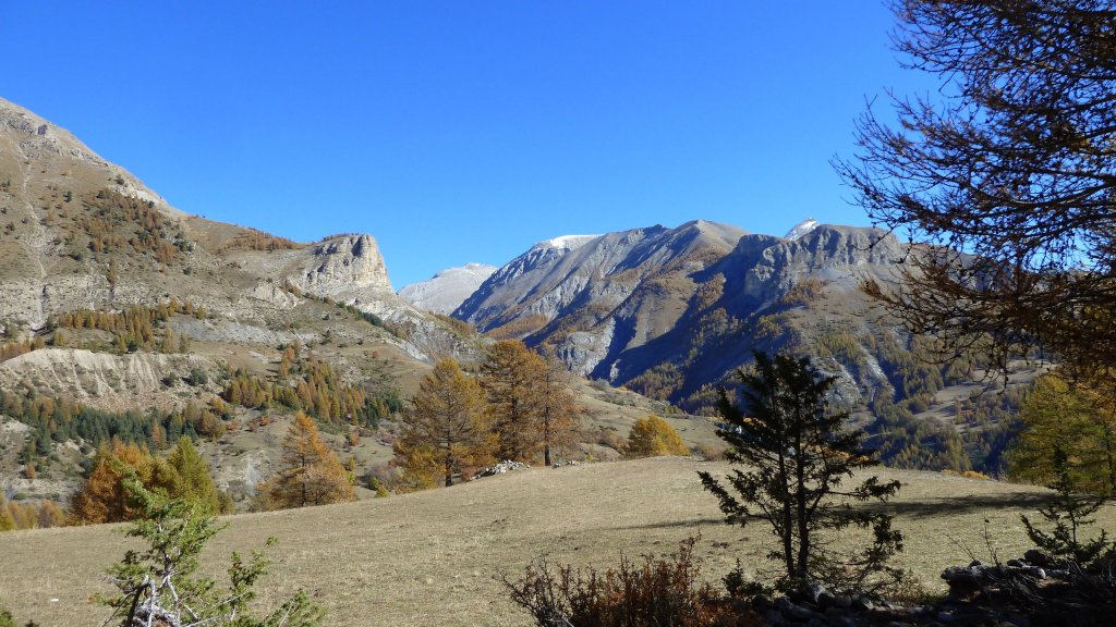 P1160423.JPG