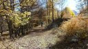 P1160424.JPG
