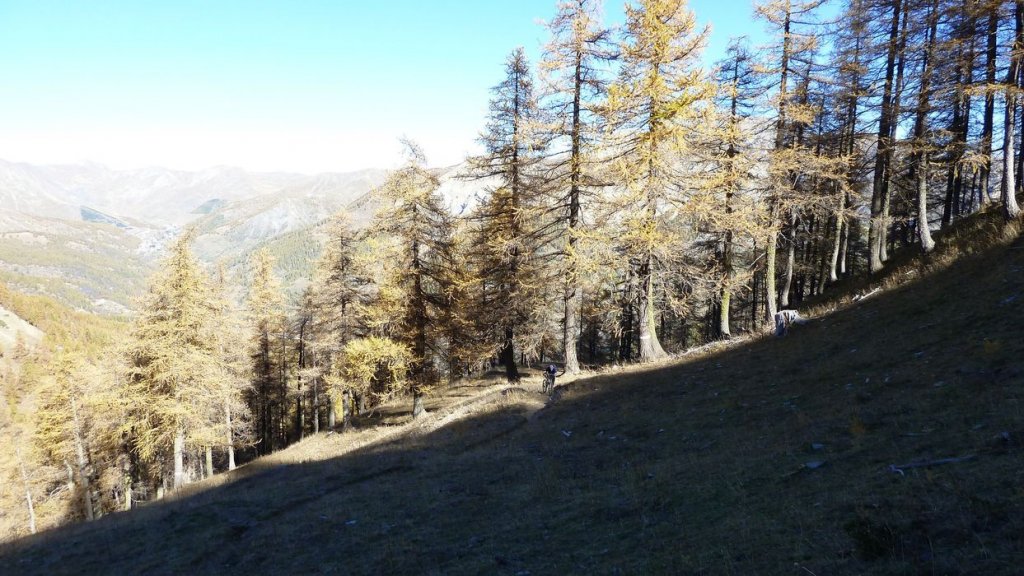P1100673.JPG