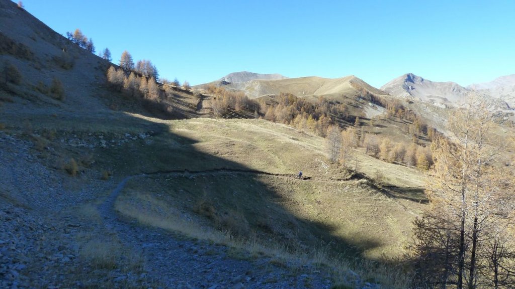 P1100683.JPG