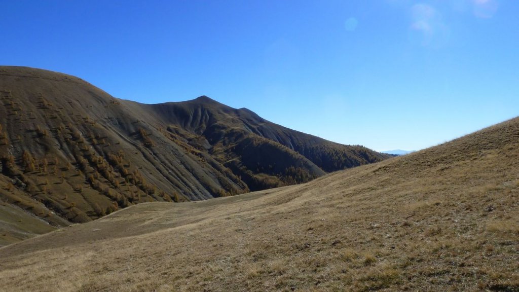 P1100720.JPG