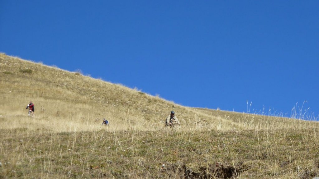 P1100726.JPG