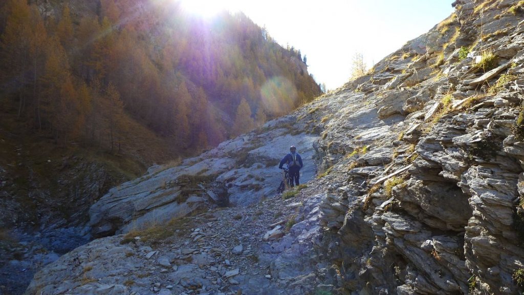P1100744.JPG