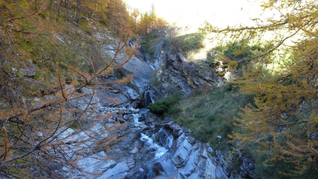 P1100754.JPG