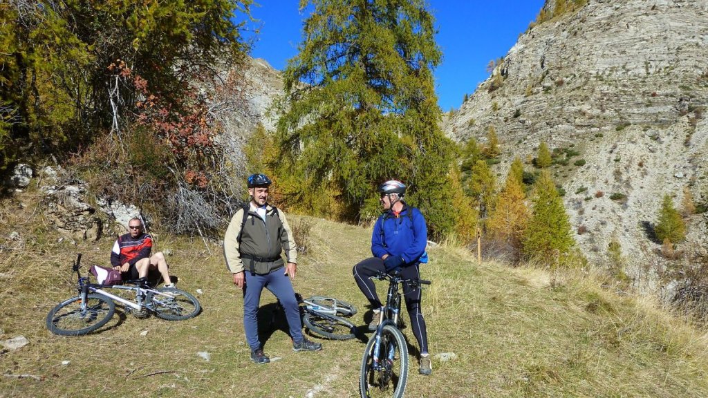 P1100756.JPG