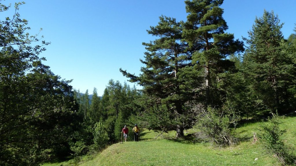 cabane_sallanches_2013_108.jpg