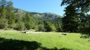 cabane_sallanches_2013_102.jpg