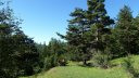 cabane_sallanches_2013_108.jpg