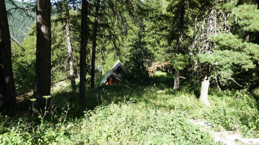 cabanes__de_congerman_aout_2012_088.jpg