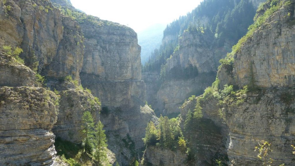 cabanes__de_congerman_aout_2012_150.jpg