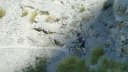 cabanes__de_congerman_aout_2012_178.jpg