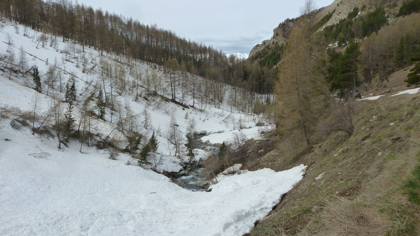 cabanes_talon_avril_2018_073.JPG
