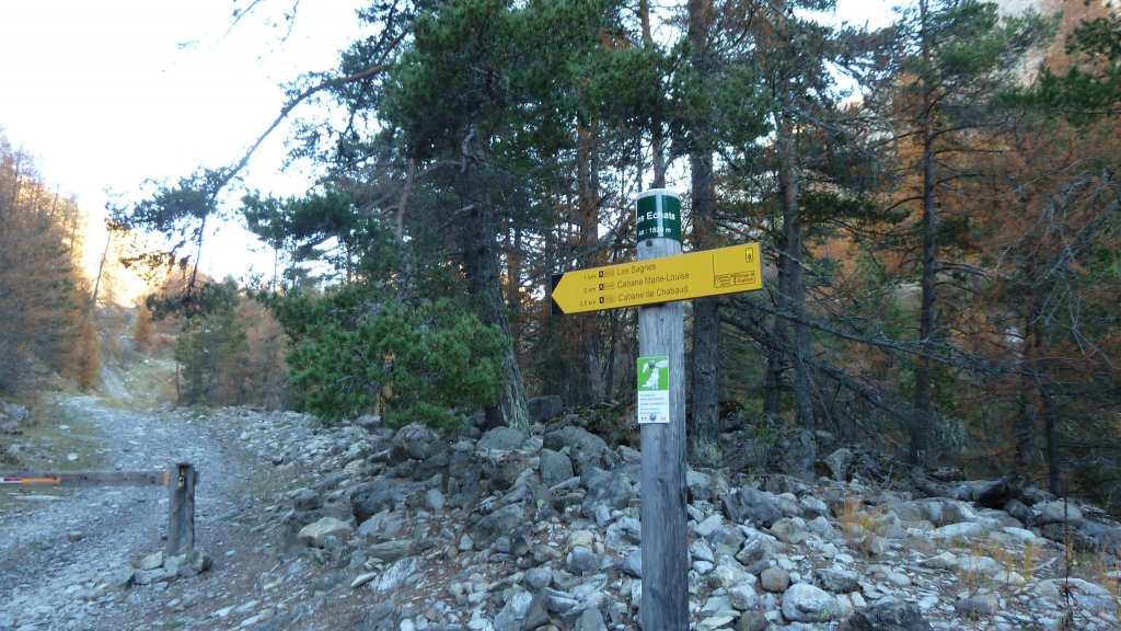 P1160495.JPG