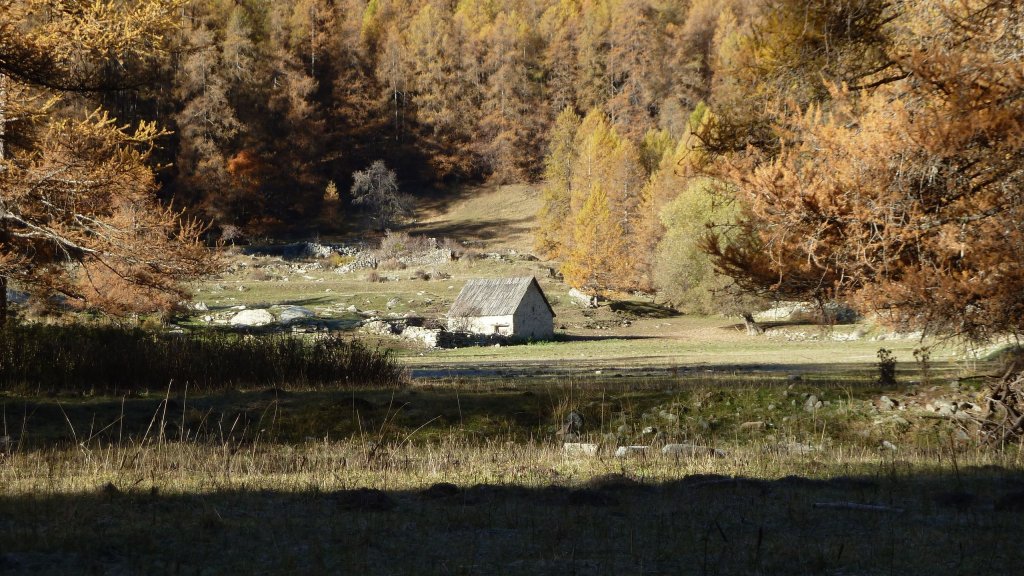P1160501.JPG