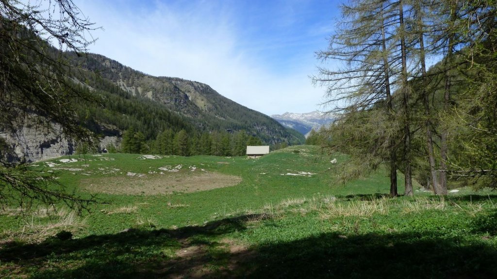 P1110619.JPG