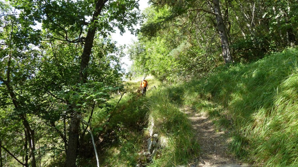 canal_adroit_aout_2016_055.JPG