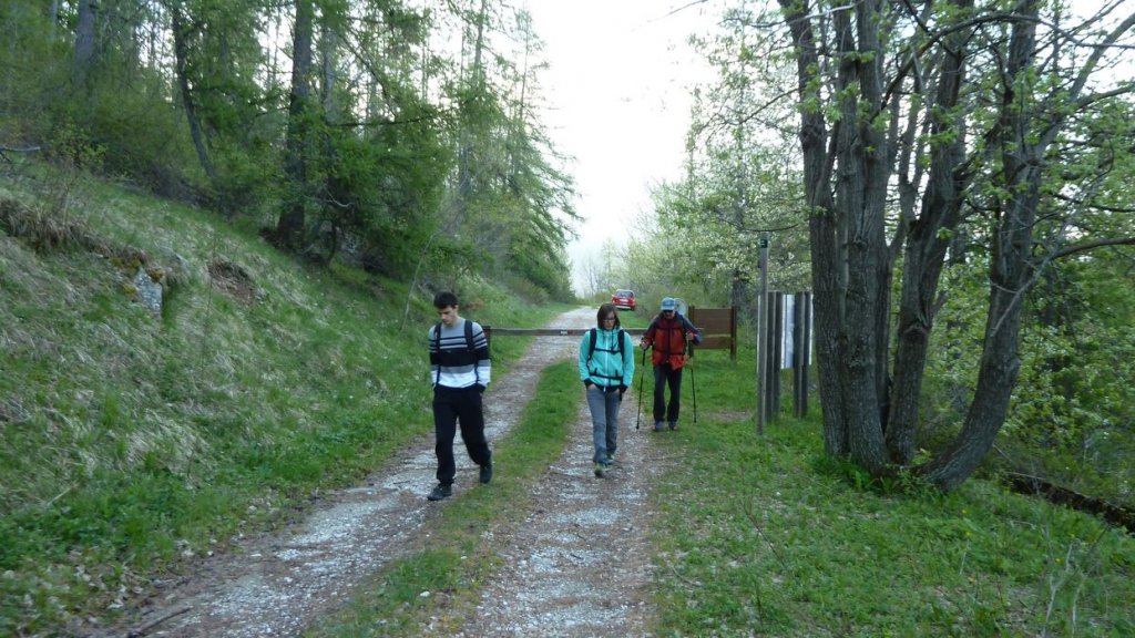 P1110532.JPG