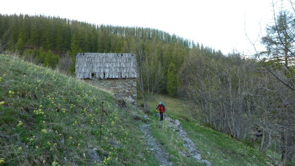 P1110541.JPG