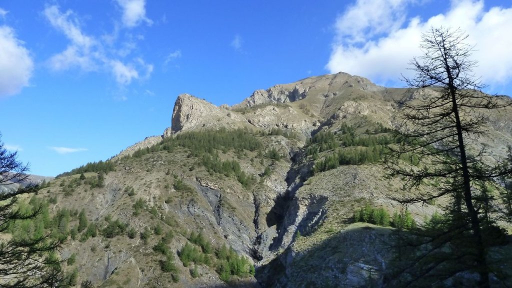 P1110552.JPG