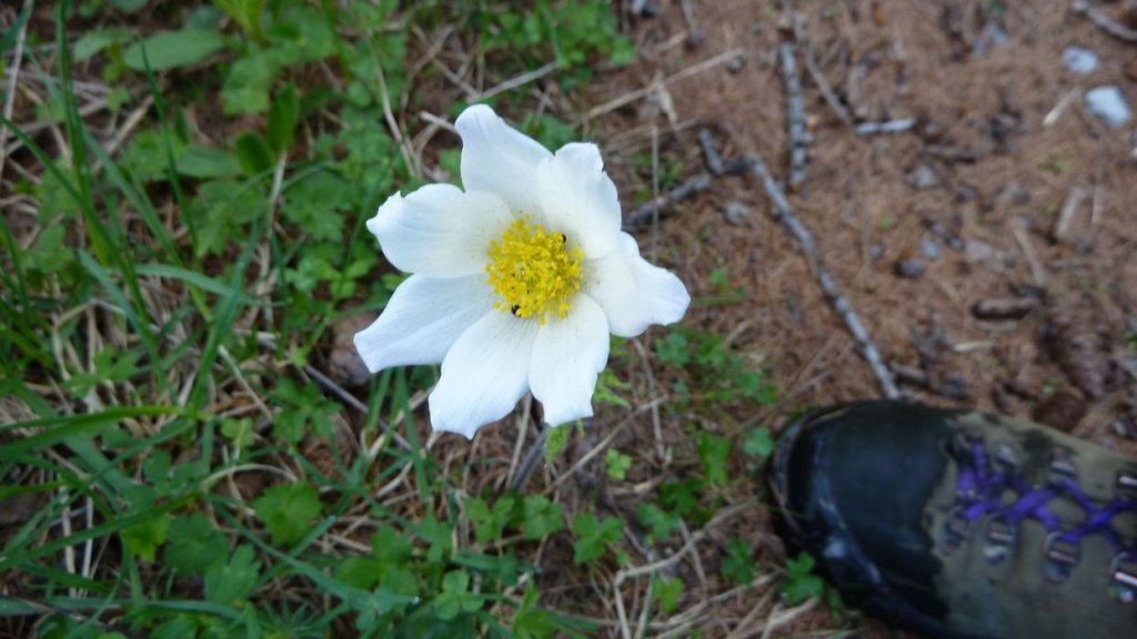 P1110556.JPG