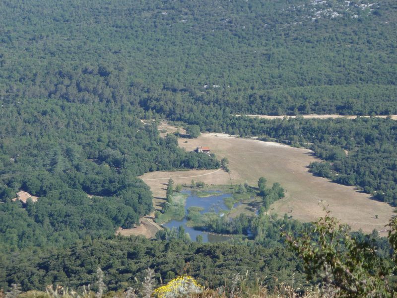 caume_baou_juin_2011_008.JPG
