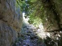 caume_baou_juin_2011_020.JPG