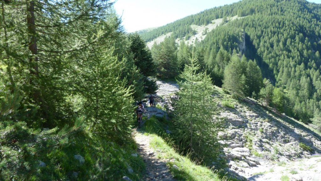 chalufy_2013_062.jpg
