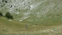 chalufy_2013_044.jpg