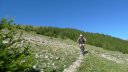 chalufy_2013_048.jpg