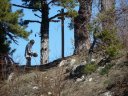 chalvet_mars_2012_041.jpg