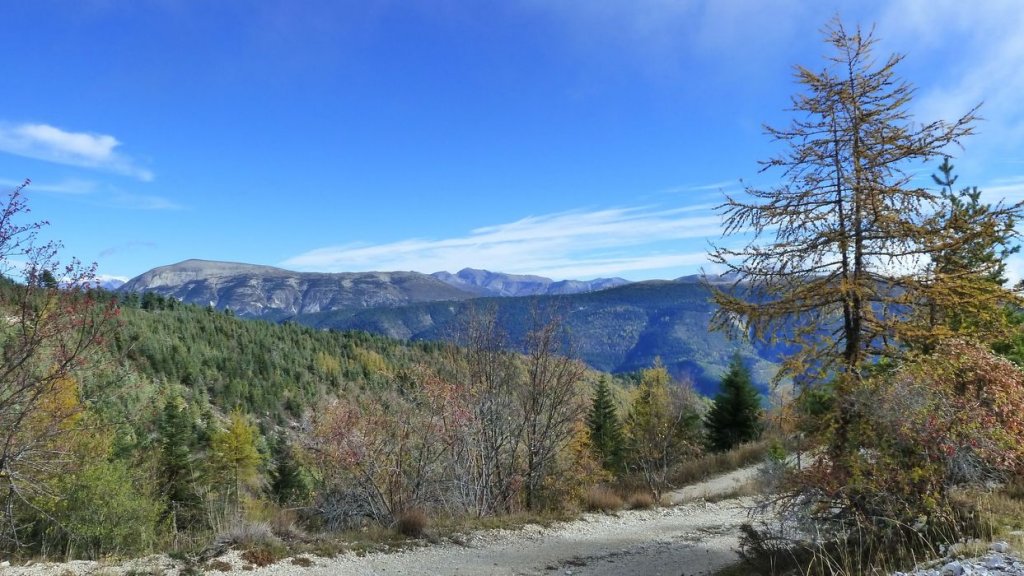 P1080431.JPG