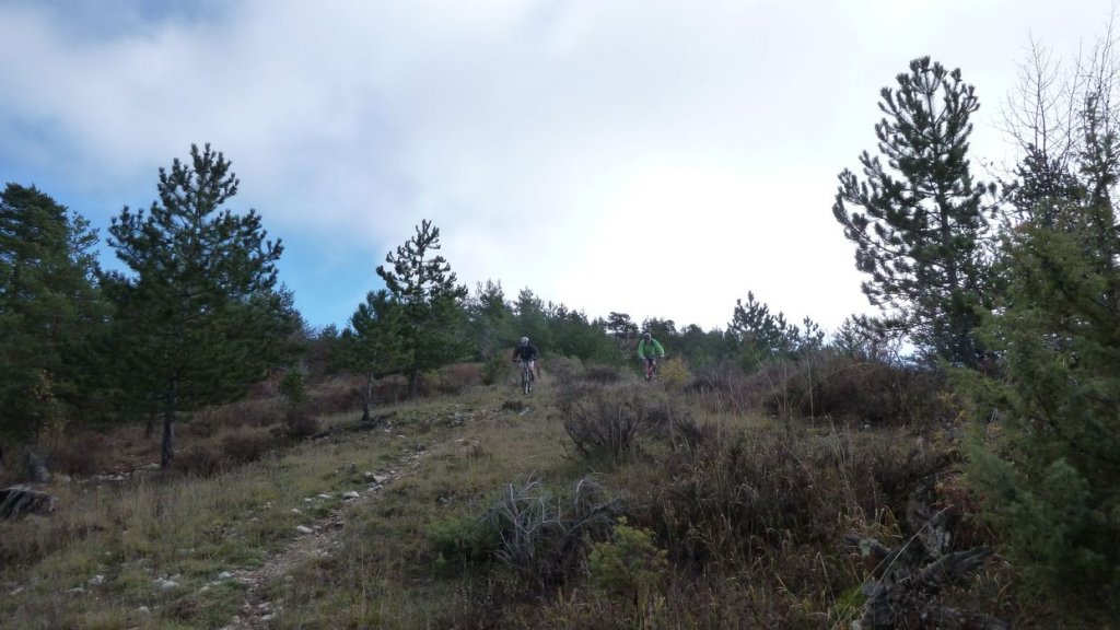 P1080441.JPG