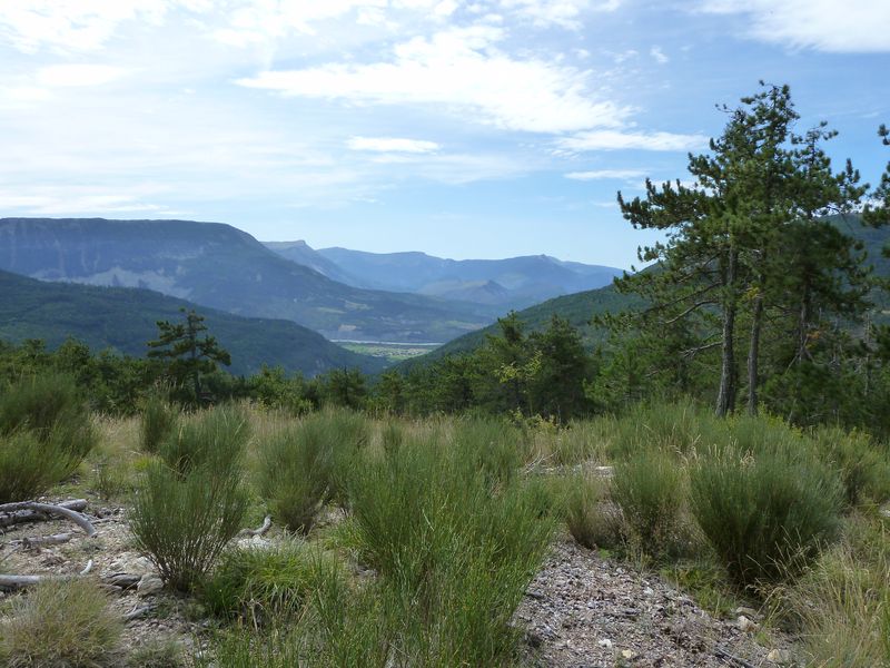 chalvat_2011_047.jpg