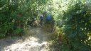chapelle_st_jean_aout_2012_064.jpg