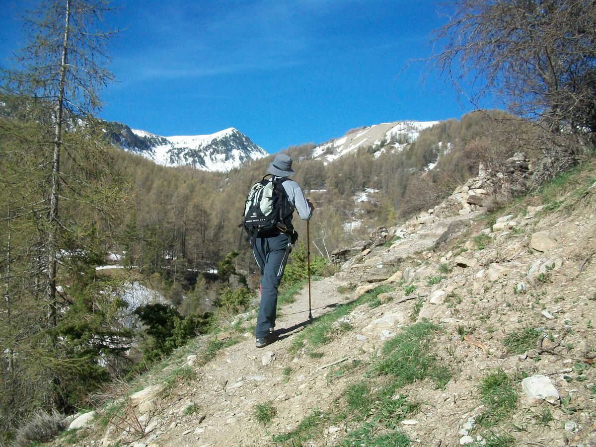 100_8263.JPG