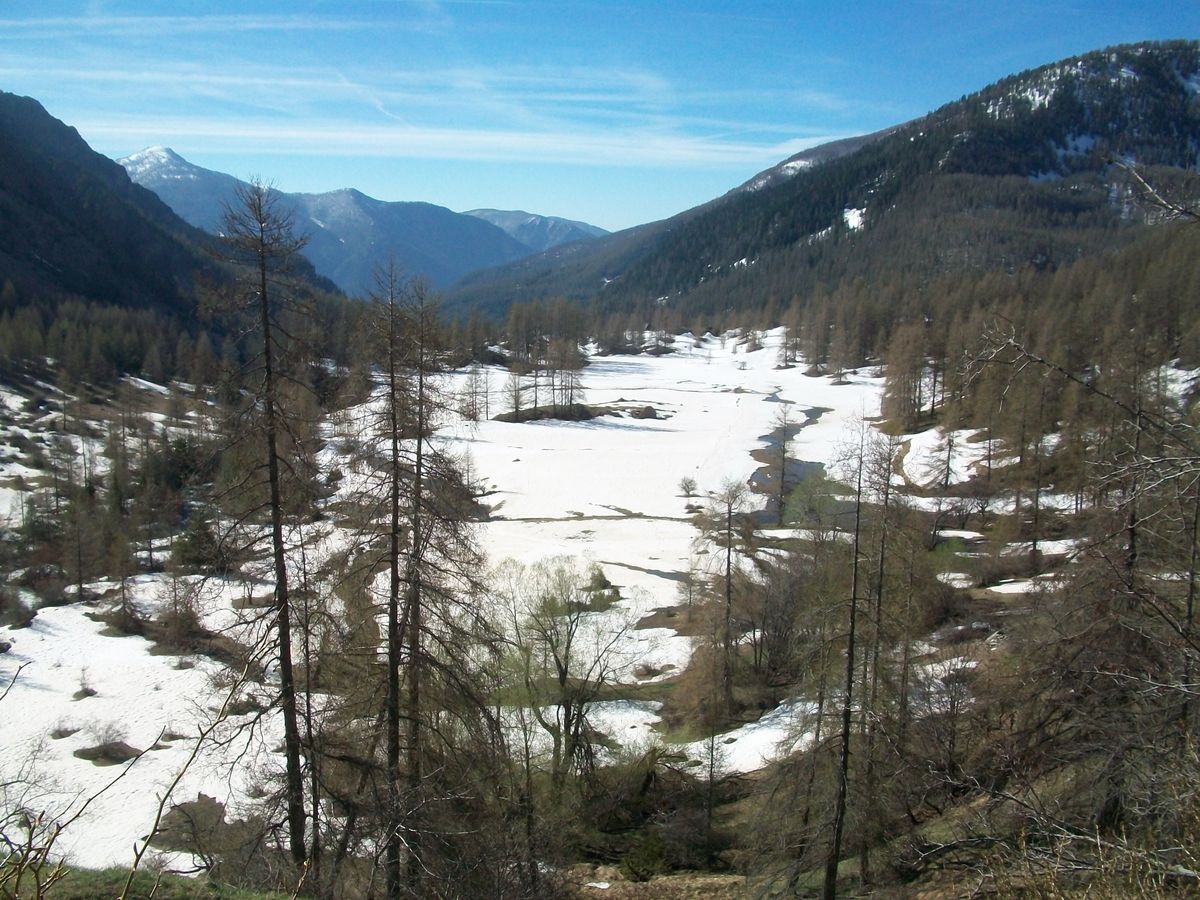 100_8271.JPG