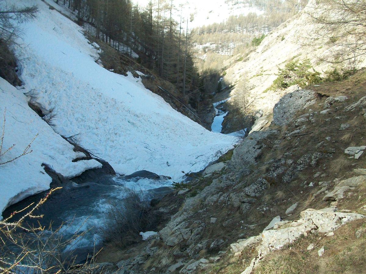 100_8280.JPG