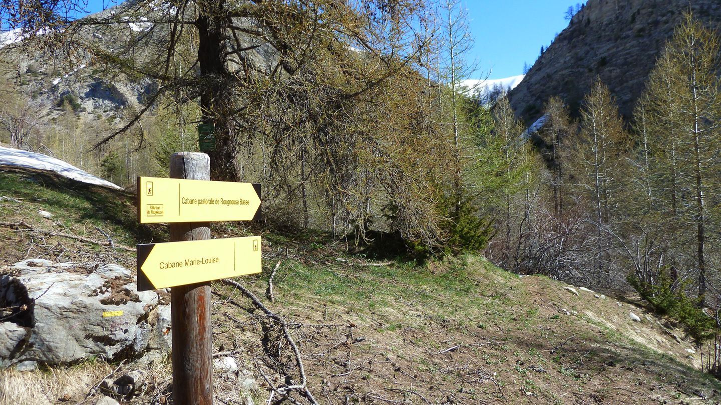 P1050413.JPG