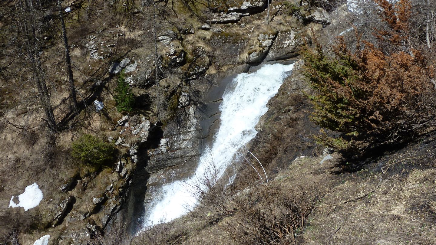 P1050435.JPG
