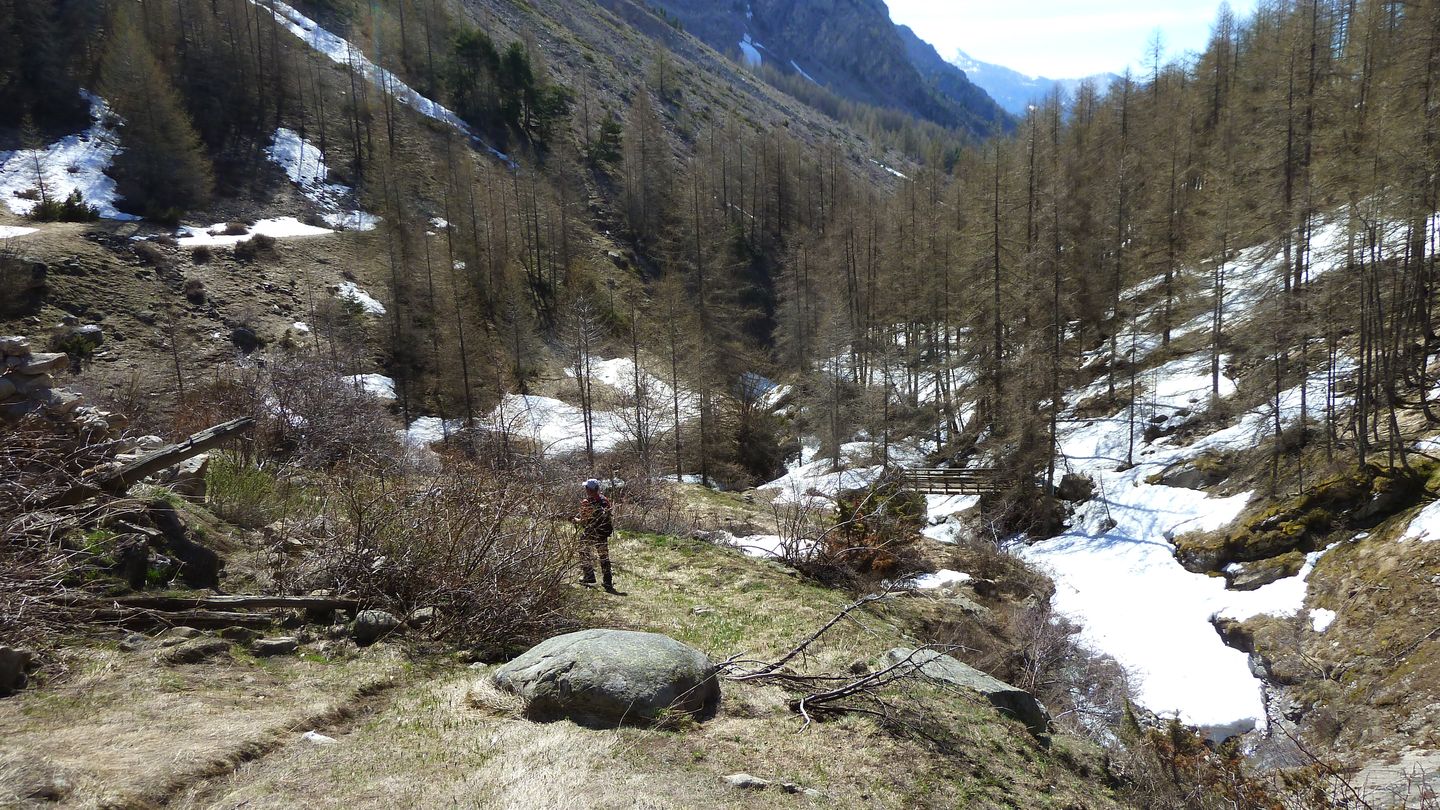 P1050436.JPG