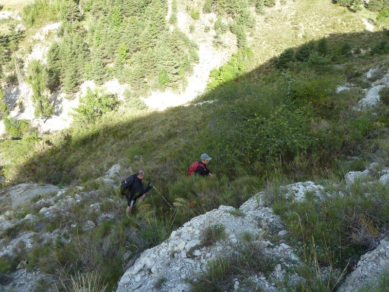 cheinet_2011_013.jpg